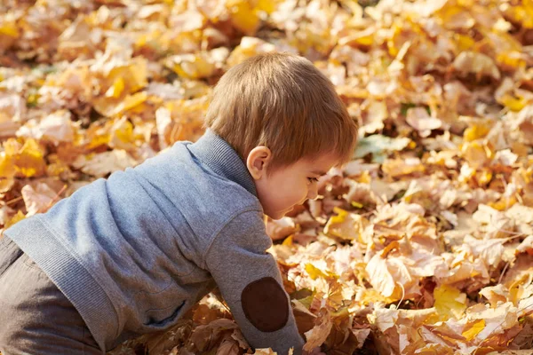 Kind Jongen Herfst Stadspark Heldere Gele Bomen — Stockfoto