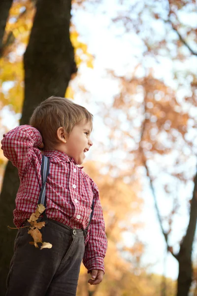 Dítě Chlapec Chodí Podzimní Městského Parku Zářivě Žluté Stromy — Stock fotografie