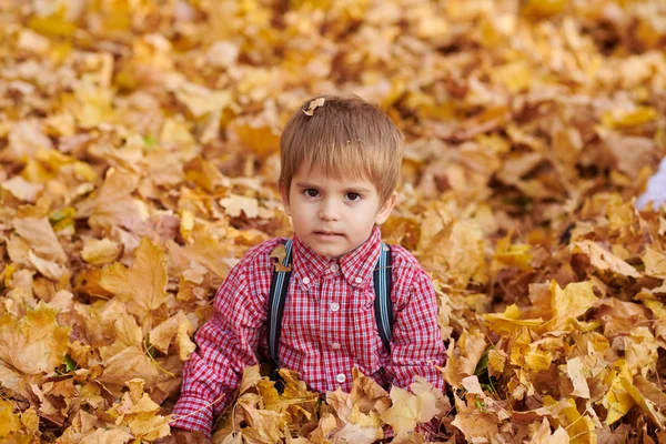 Enfant Garçon Est Couché Jouer Sur Les Feuilles Tombées Dans — Photo