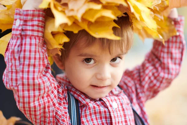 Child Boy Posing Yellow Fallen Leaves His Head Autumn City — Stock Photo, Image