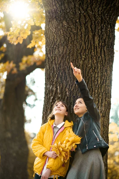 Duas Meninas Estão Parque Cidade Outono Eles Estão Perto Árvore — Fotografia de Stock