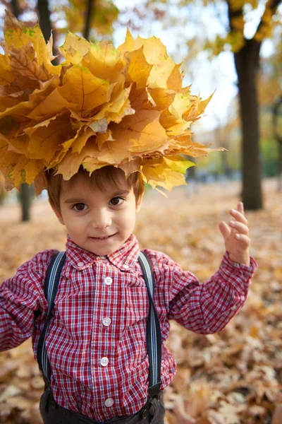 Kind Jongen Poseren Met Gele Gevallen Bladeren Zijn Hoofd Herfst — Stockfoto