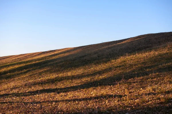 Colline Dans Forêt Automne Avec Des Ombres Arbres Lumière Soleil — Photo