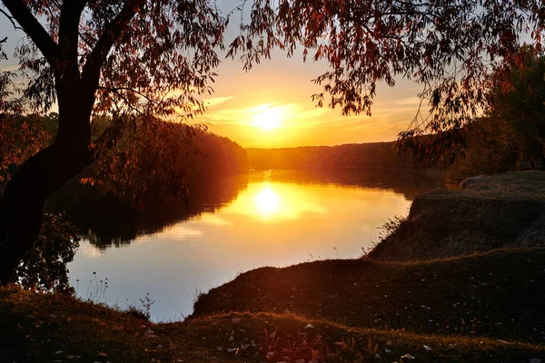 Podzimní Krajina Les Krásné Stromy Řeky Jasného Slunce Západu Slunce — Stock fotografie