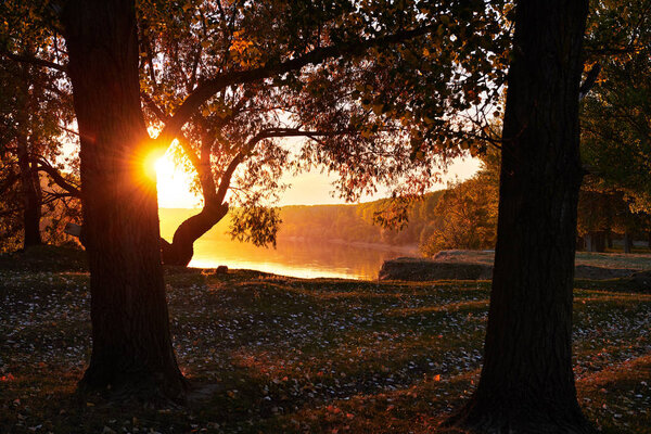 осенний пейзаж - лес и красивые деревья у реки, яркий солнечный свет на закате, осенний сезон
