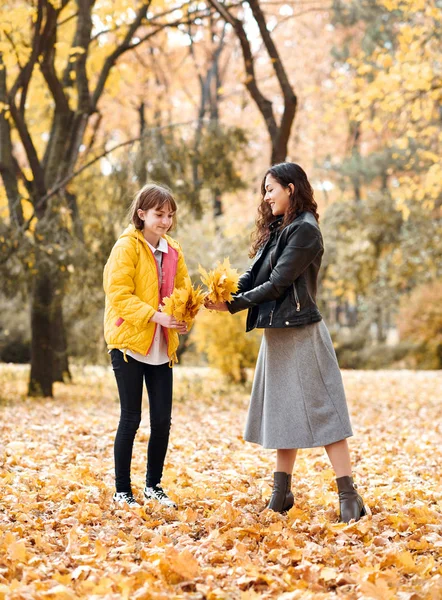 Duas Meninas Estão Parque Cidade Outono Colhem Folhas — Fotografia de Stock