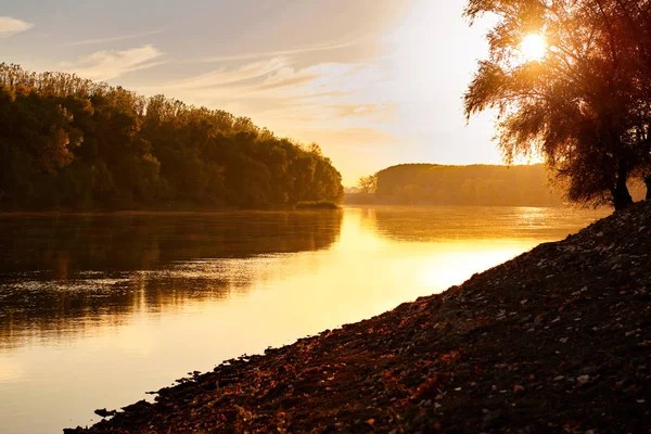 秋の風景 森と川の夕日 秋のシーズンで明るい日光の下近くの美しい木 — ストック写真