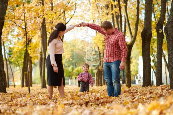 Anne Çocuk Sonbahar Şehir Parkı Içinde Yürüyor Parlak Sarı Ağaçlar — Stok fotoğraf