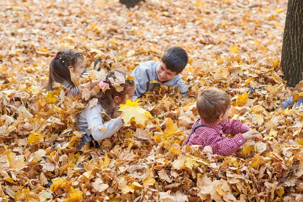 子供が横たわっていると秋の市公園で落ち葉で遊んで — ストック写真