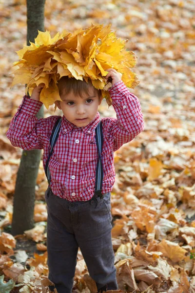 子供男の子は彼の頭に黄色の落ち葉でポーズします 秋の都市公園 明るい日 — ストック写真