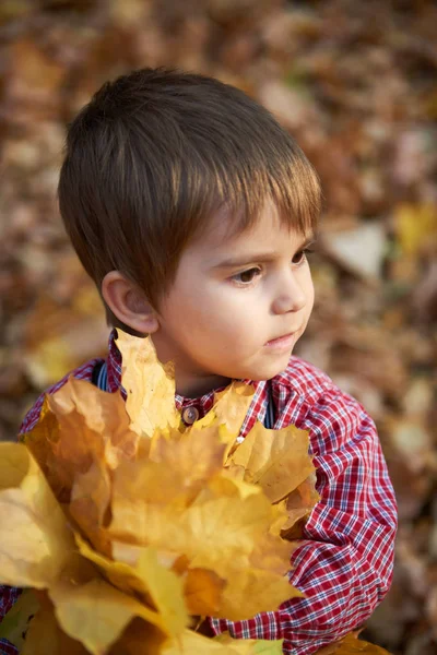 Chłopiec Dziecko Jest Jesienny Park Miejski Rodziną Jasne Żółte Drzewa — Zdjęcie stockowe