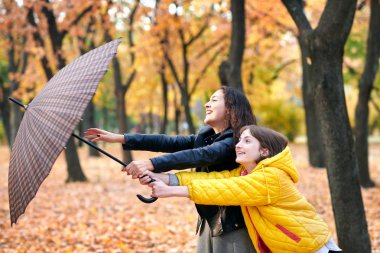 Sonbahar parkta poz şemsiye iki kızla. Parlak sarı yapraklar ve ağaçlar. Onlar rüzgar taklit.