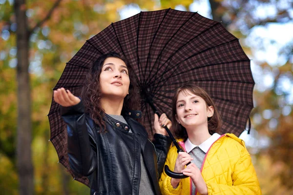 Deux filles sont ensemble sous parapluie dans le parc de la ville d'automne. Feuilles jaune vif . — Photo