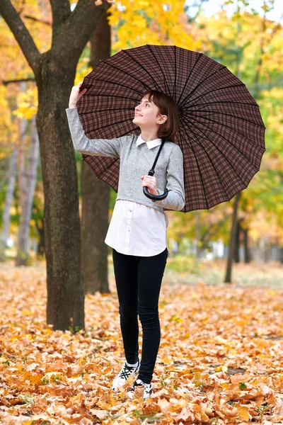 Menina adolescente com guarda-chuva posando no parque de outono. Folhas e árvores amarelas brilhantes . — Fotografia de Stock