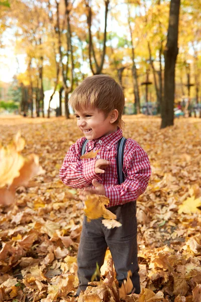 Bambino ragazzo è in autunno parco della città con la sua famiglia. Alberi gialli brillanti . — Foto Stock