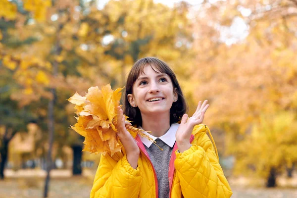 Teen Dziewczyna Pozuje Kiści Liści Klonu Jesienny Park Piękny Krajobraz — Zdjęcie stockowe