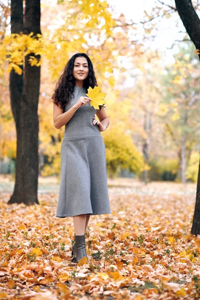 Красивая Женщина Желтыми Листьями Позирует Осеннем Городском Парке — стоковое фото