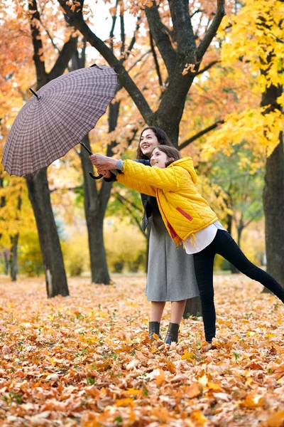 两个带着伞的女孩在秋园摆姿势 明亮的黄色树叶和树木 他们模仿风 — 图库照片