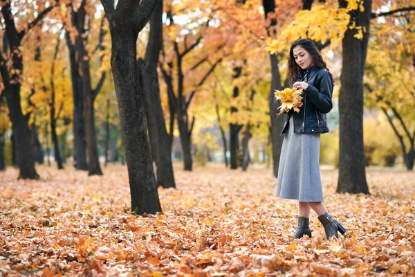 漂亮的女人在秋天的公园里摆姿势 拿着一堆枫叶 秋天的美丽的风景 — 图库照片