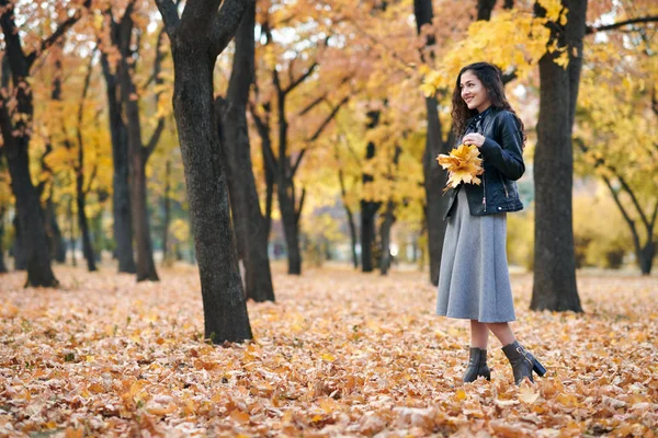 Mulher Bonita Está Posando Com Monte Folhas Bordo Parque Outono — Fotografia de Stock