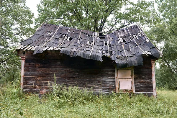 Antigua Casa Madera Bosque — Foto de Stock