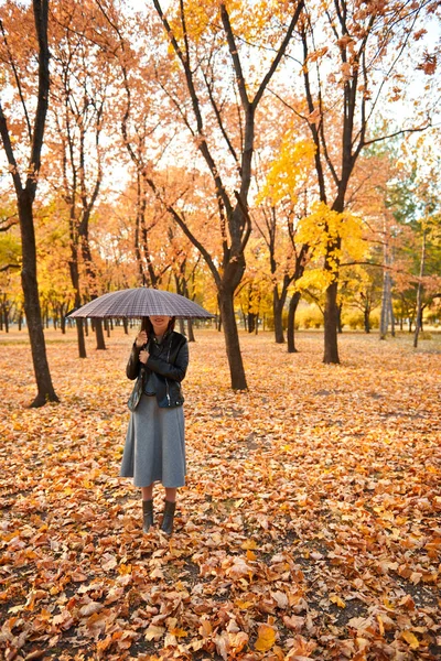 Bella Donna Posa Con Ombrello Nel Parco Autunnale Bel Paesaggio — Foto Stock