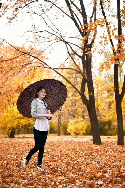 Девочка Подросток Позирует Зонтиком Осеннем Парке Красивый Пейзаж Осенью — стоковое фото