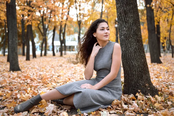 Mulher Bonita Está Sentado Parque Outono Perto Árvore Grande Bela — Fotografia de Stock