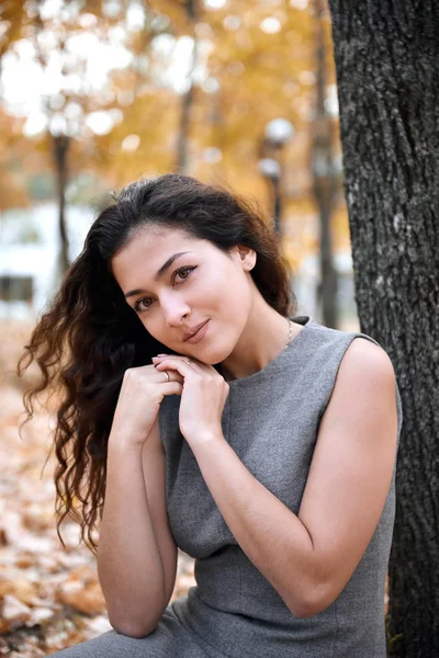 Pretty Woman Sitting Autumn Park Big Tree Beautiful Landscape Fall — Stock Photo, Image