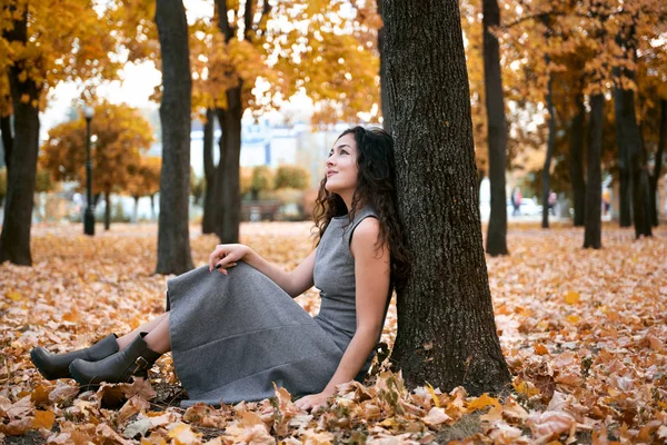 Mulher Bonita Está Sentado Parque Outono Perto Árvore Grande Bela — Fotografia de Stock