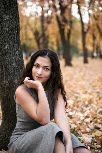 Bella Donna Posa Nel Parco Autunnale Vicino Grande Albero Bel — Foto Stock