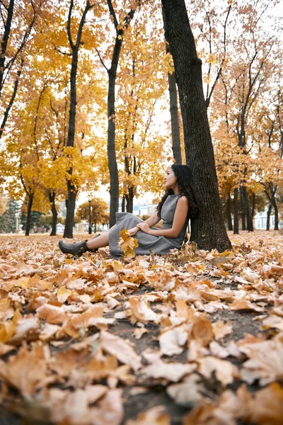 Pretty Woman Sitting Autumn Park Big Tree Beautiful Landscape Fall — Stock Photo, Image
