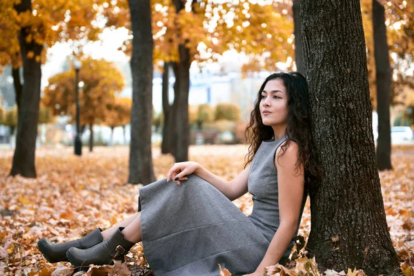 Красивая Женщина Сидит Осеннем Парке Возле Большого Дерева Красивый Пейзаж — стоковое фото