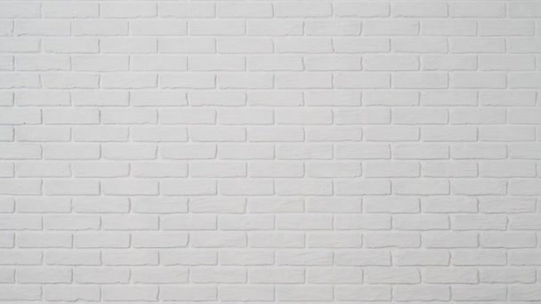 White Brick Wall Background — Stock Video