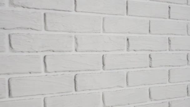 White Brick Wall Background — Stock Video