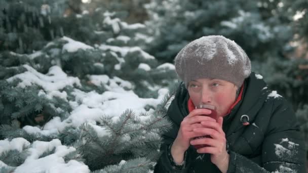 Kobieta Jest Picie Gorącej Herbaty Lesie Piękny Zimowy Krajobraz Ośnieżone — Wideo stockowe