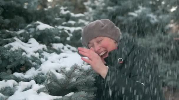 妇女在森林里有乐趣 美丽的冬季风景与雪的冷杉树 — 图库视频影像