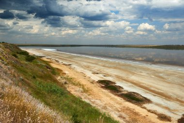 Güzel yaz manzara - kır çiçekleri, göl ve güzel gökyüzü.