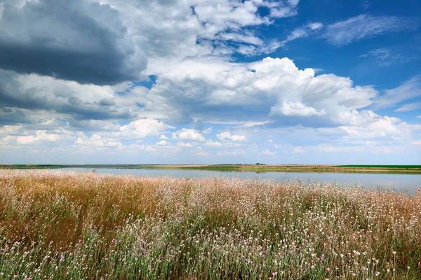 Vacker Sommarlandskap Vildblommor Sjön Och Vacker Himmel — Stockfoto