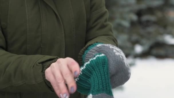 Woman Wearing Fur Mittens Winter Forest Hands Close Beautiful Landscape — Stock Video