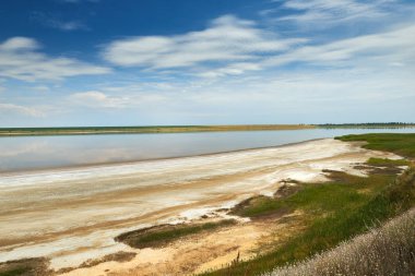 Güzel yaz manzara - kır çiçekleri, göl ve güzel gökyüzü.