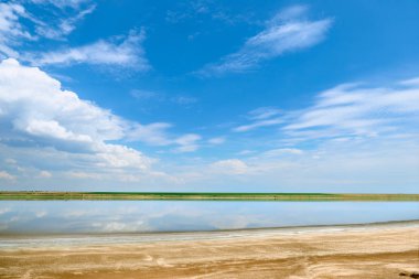 Güzel yaz manzara - kır çiçekleri, göl ve güzel gökyüzü.