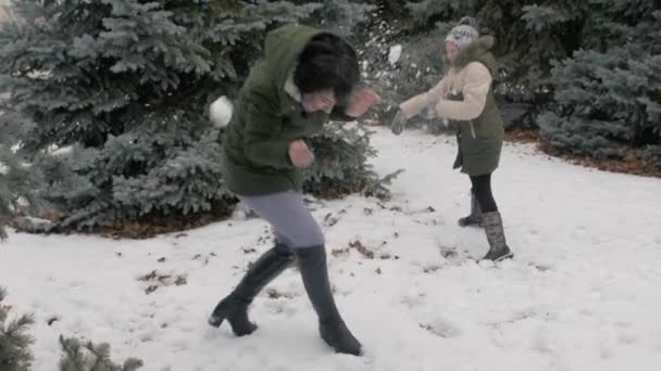 妇女和女孩在冬天的森林里玩雪球 美丽的风景与雪杉树 — 图库视频影像