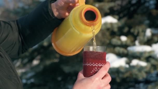 女性は森 雪に覆われたモミの木の美しい冬の風景に熱いお茶を飲む — ストック動画