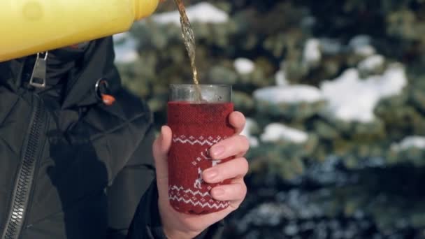 Femme Boit Thé Chaud Forêt Beau Paysage Hivernal Avec Des — Video