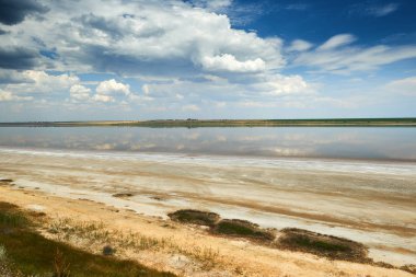 Güzel yaz manzara - kır çiçekleri, göl ve güzel gökyüzü.