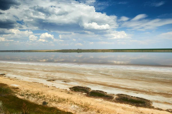 Güzel yaz manzara - kır çiçekleri, göl ve güzel gökyüzü.