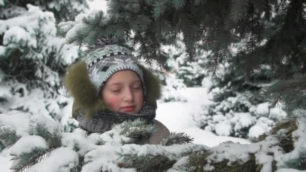 不快乐的女孩站在冷杉树下摆姿势 冬天的森林 美丽的风景与雪的冷杉树 — 图库视频影像