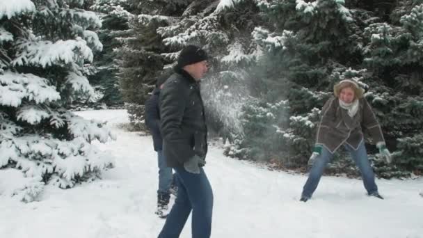 Οικογένεια Στηρίζεται Στο Χειμώνας Δάσος Πανέμορφο Τοπίο Χιονισμένα Έλατα — Αρχείο Βίντεο