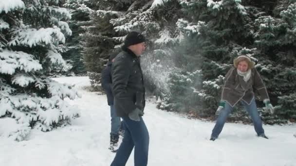 Familjen Vilar Vinter Skog Vackert Landskap Med Snötäckta Granar — Stockvideo